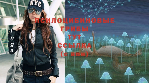 spice Верхний Тагил