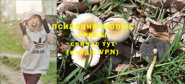 мдпв Верхнеуральск