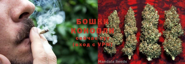 каннабис Бежецк