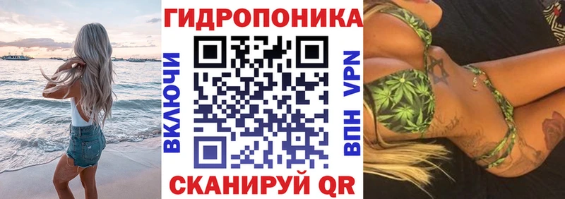 как найти   Высоковск  ссылка на мегу маркетплейс  МАРИХУАНА SATIVA & INDICA 